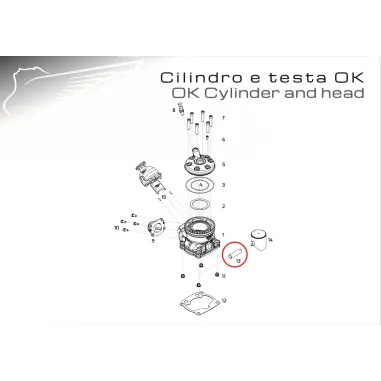Spinotto pistone OK-OKN-OKJ MODENA ENGINES