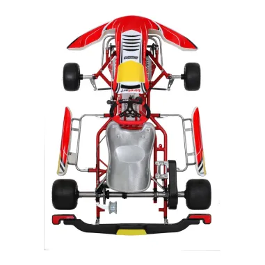 Frame RY30 S18 - DIRECT DRIVE BIREL ART