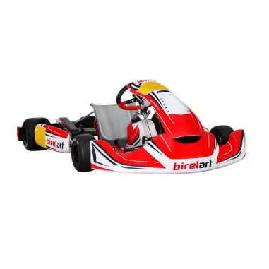 Frame RY30 S18 - DIRECT DRIVE BIREL ART