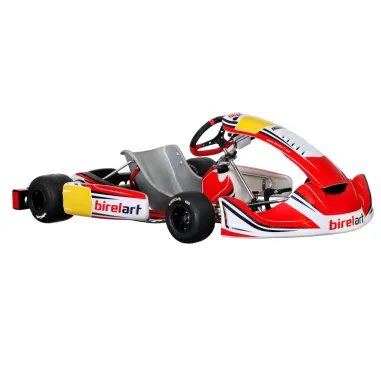 Frame RY30 S18 - DIRECT DRIVE BIREL ART