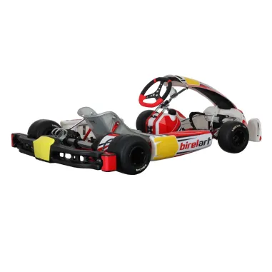 Telaio RY30 S18 - DIRECT DRIVE BIREL ART
