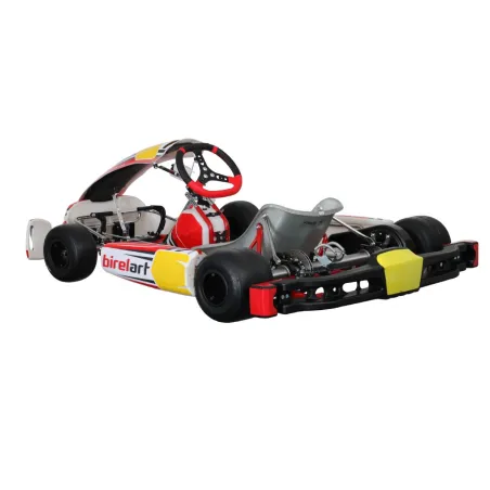 Telaio RY30 S18 - DIRECT DRIVE BIREL ART