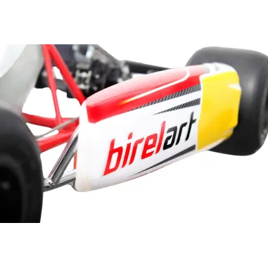 Chasis RY30 S18 - DIRECT DRIVE BIREL ART