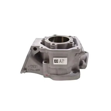 Cylinder MAX evo II ROTAX