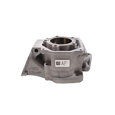 Cilindro MAX evo II ROTAX