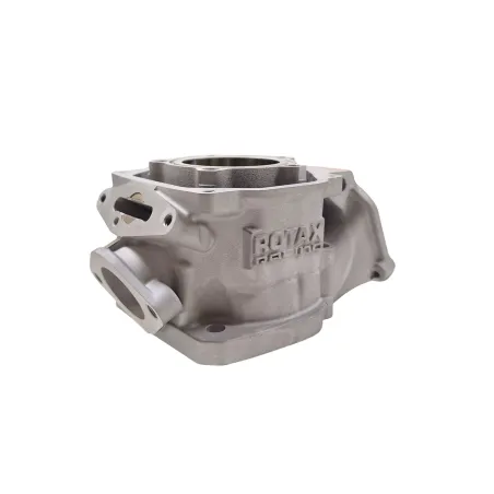Cylinder MAX evo II ROTAX