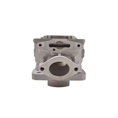 Cylinder MAX evo II ROTAX