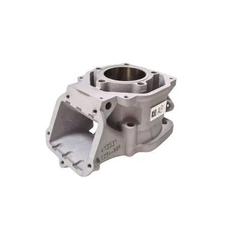 Cylinder MAX evo II ROTAX