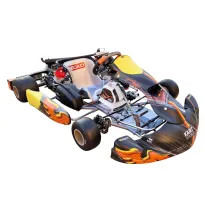 Complete kart DD2 (June 2025) KART REPUBLIC - ROTAX USED