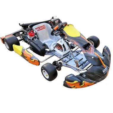 Chasis DD2 (octubre 2025) KART REPUBLIC USADO