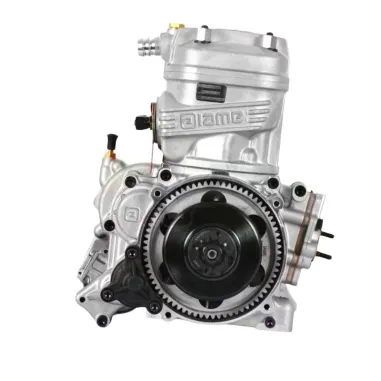 Motor listo pista 125 X30 IAME USADO