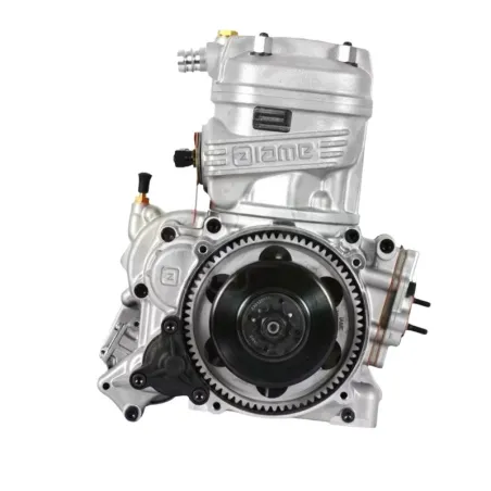 Motor listo pista 125 X30 IAME USADO