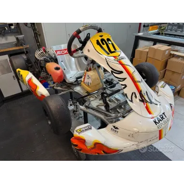 Kart completo MINI KART REPUBLIC - TM KART USADO
