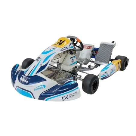 Telaio KR2 OK KART REPUBLIC USATO