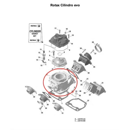 Cilindro MAX evo II ROTAX