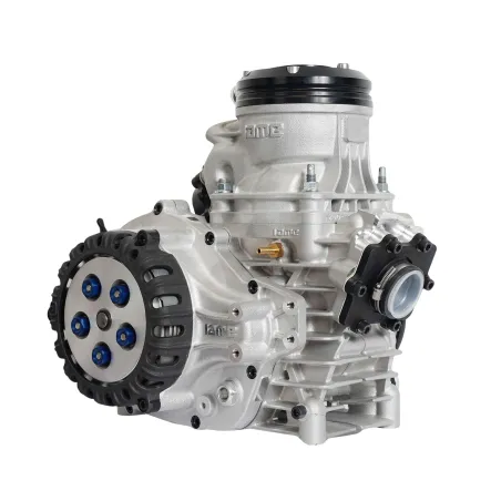 Motor listo pista SCREAMER IV 125cc KZ 2024 IAME USADO