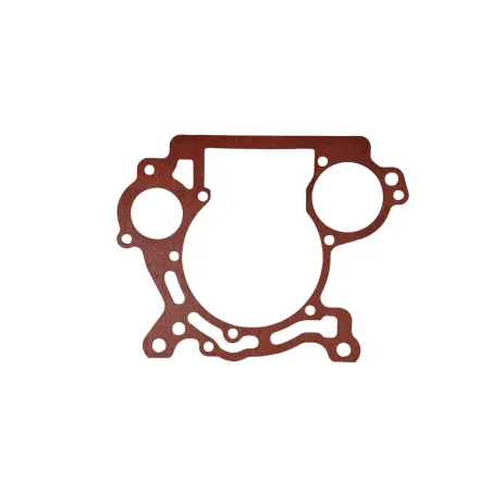 Guarnizione carter MICRO-MINI-JUNIOR-SENIOR ROTAX