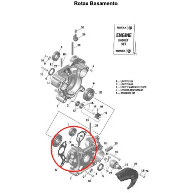Crankcase gasket ROTAX