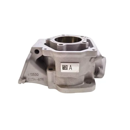 Cylinder MICRO-MINI-JUNIOR evo II ROTAX