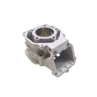 Cylinder MICRO-MINI-JUNIOR evo II ROTAX