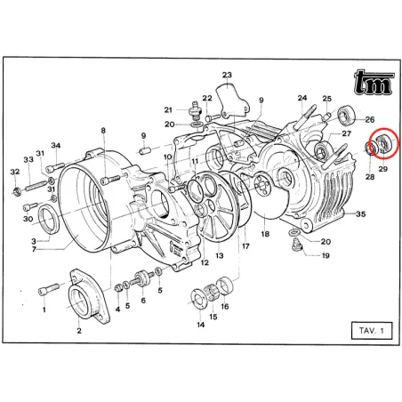 Bench bearing 6205 C4 KZ TM KART
