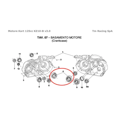 Bench bearing 6205 C4 KZ TM KART