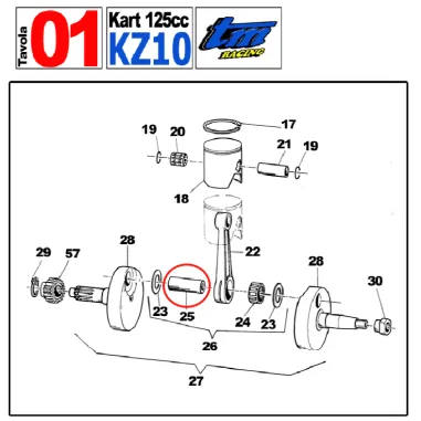 Asse accoppiamento 20x50.4 KZ TM KART