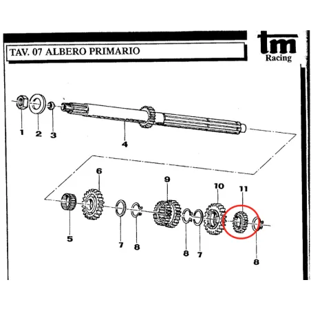 Ingranaggio albero primario 2a Z16 verde KZ TM KART