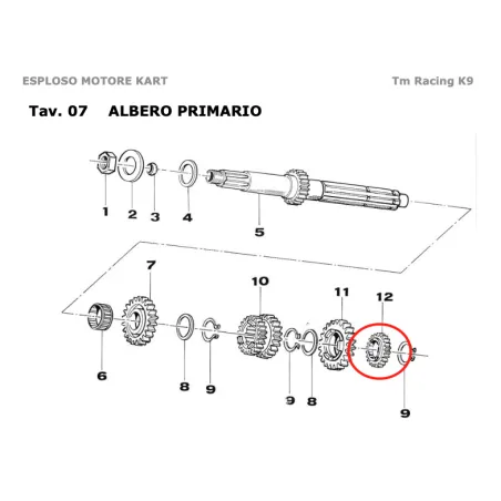 Ingranaggio albero primario 2a Z16 verde KZ TM KART