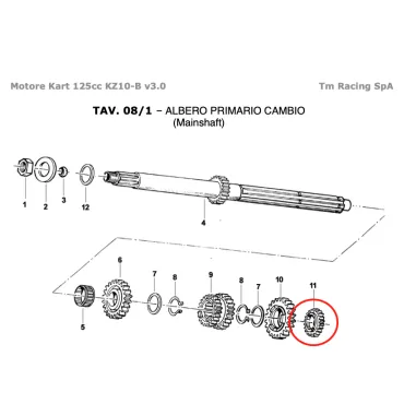 Ingranaggio albero primario 2a Z16 verde KZ TM KART