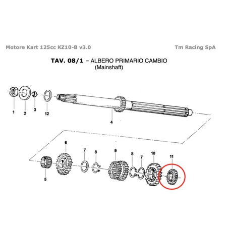 Ingranaggio albero primario 2a Z16 verde KZ TM KART