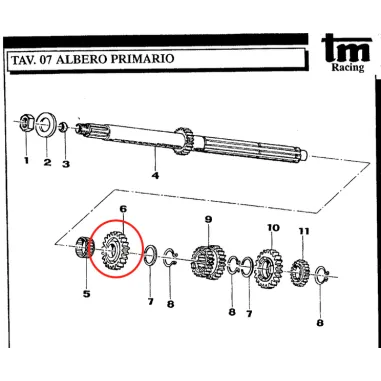 Ingranaggio albero primario 5a Z22 KZ TM KART