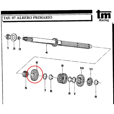 Ingranaggio albero primario 5a Z22 KZ TM KART