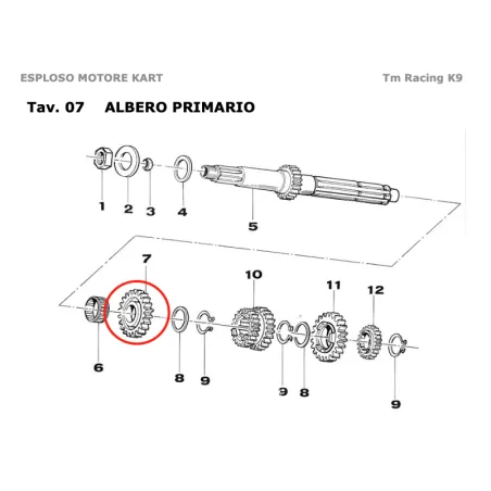 Ingranaggio albero primario 5a Z22 KZ TM KART