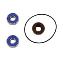 Kit de revisión bomba de agua NEW LINE