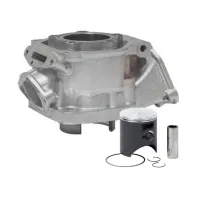 Cilindro DD2 evo I completo de pistón ROTAX USADO