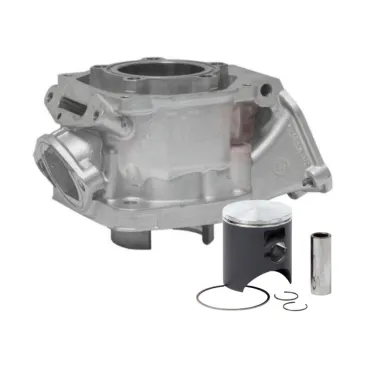 Cylinder evo I DD2 complete with piston ROTAX USED