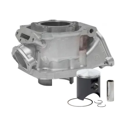 Cilindro MAX evo I completo di pistone ROTAX USATO