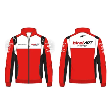 Sweatshirt BIREL ART - ALPINESTARS 22