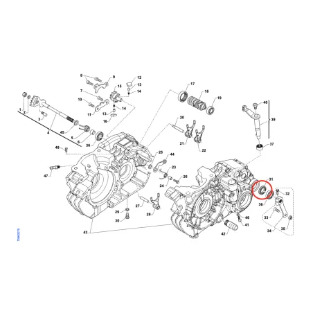 Oil seal for gear lever and water pump 12x22x5 KZ TM KART