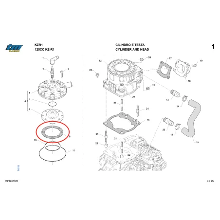 Guarnizione testa KZ10C-KZR1 KZ TM KART