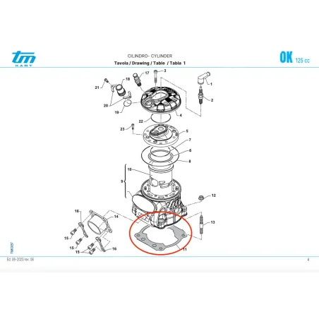Guarnizione base cilindro OK TM KART