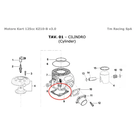 Cylinder base gasket KZ TM KART