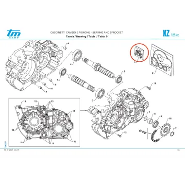 Kit paraaceite KZ TM KART