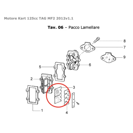 Lamella in carbonio OK TM KART