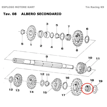Jaula de rodillos K 17x21x10 KZ TM