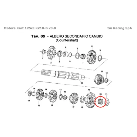 Gabbia a rulli K 17x21x10 KZ TM KART
