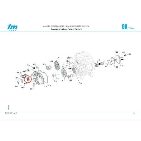 Paraaceite 19x32x5 TAG-OK TM KART