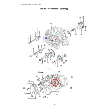 Oil seal 19x32x5 TAG-OK TM KART