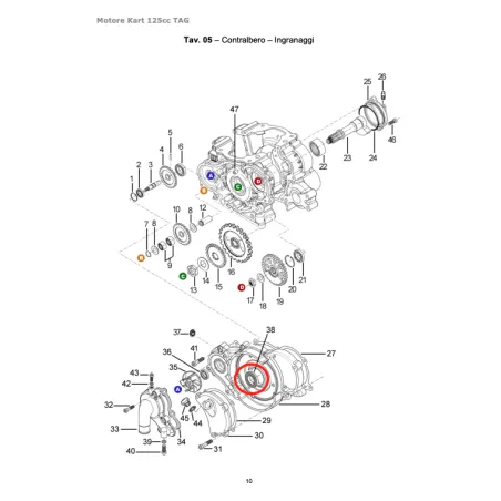 Paraaceite 19x32x5 TAG-OK TM KART